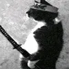 dimernozinho796
