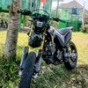 _branz125