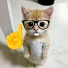 icy_ou