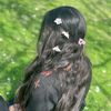 cuteflower160