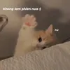 aov1love4ever