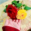 asma.ahmed698