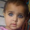 munir.khan7803