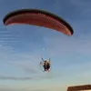 buovolador
