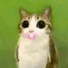 йорек