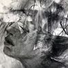 calm393_