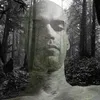 lucasart373