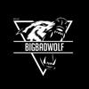 bigbadwolf9500