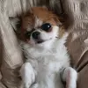 sosocuteruby