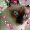 _geminigirl75
