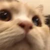khanhngoc_aka_tdth