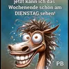 1abruzzler