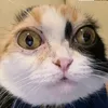 cubinek3