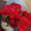 user2186197361762