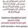 taliso.muxumed