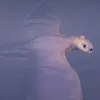 stormwingt