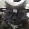 mollxyz_
