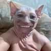 _volgogradshtorm39_