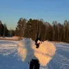 liqwirxx22