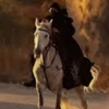 🐎 زاد الركب 🐎