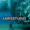 larisstudio