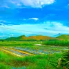 canhdep04