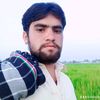 shahidjarwar66