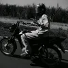 isacgaldino243