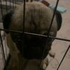 fred._brunoo