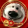 huy.nguyn5444