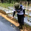 kipoowz