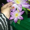 imranahmed8372