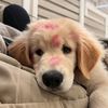 patty__841
