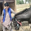 rahmat_khan333