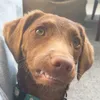 johnthegolfer09