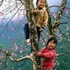 duy220508
