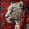 reemalshamsi112