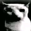 kittloid