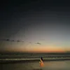 urxybelle0