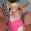 lizikem