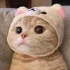 dywb4d4qy6aw