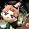kakyoin445