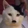 gta_isnt_dead