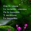 grac_frases13