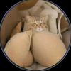 dany__1985