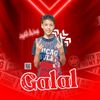 galal.gabreel1