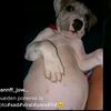 platano_xd8090