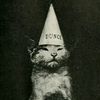 the_mexican_gato89