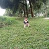 gressyfrediansya3