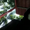 yesmam__
